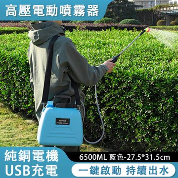 電動噴霧器 農用噴灑 水壺 消毒打藥 澆花水背負式 打藥機 高壓噴壺 純銅電機 USB充電 6500ML
