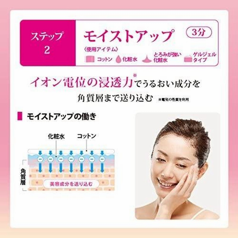 SPL セルカルチャープレート 24ウェル / Surface Treatment＋