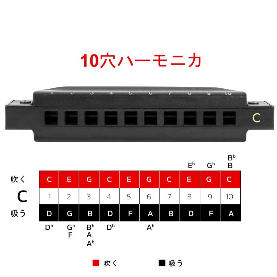 Kmise AKLOT ブルースハーモニカ セット ブルースバンド 10穴 C調,D調,E調,F調,G調,A調,B調 ブラック防水ケース