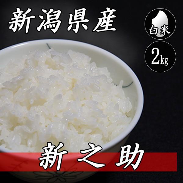 お米 2kg 新潟産 新之助 2kg×1袋 令和5年産 米 白米