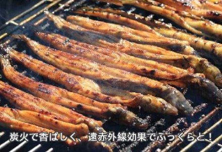 穴子 国産 焼穴子 炭火焼 5～11本入（320g前後） タレ付き