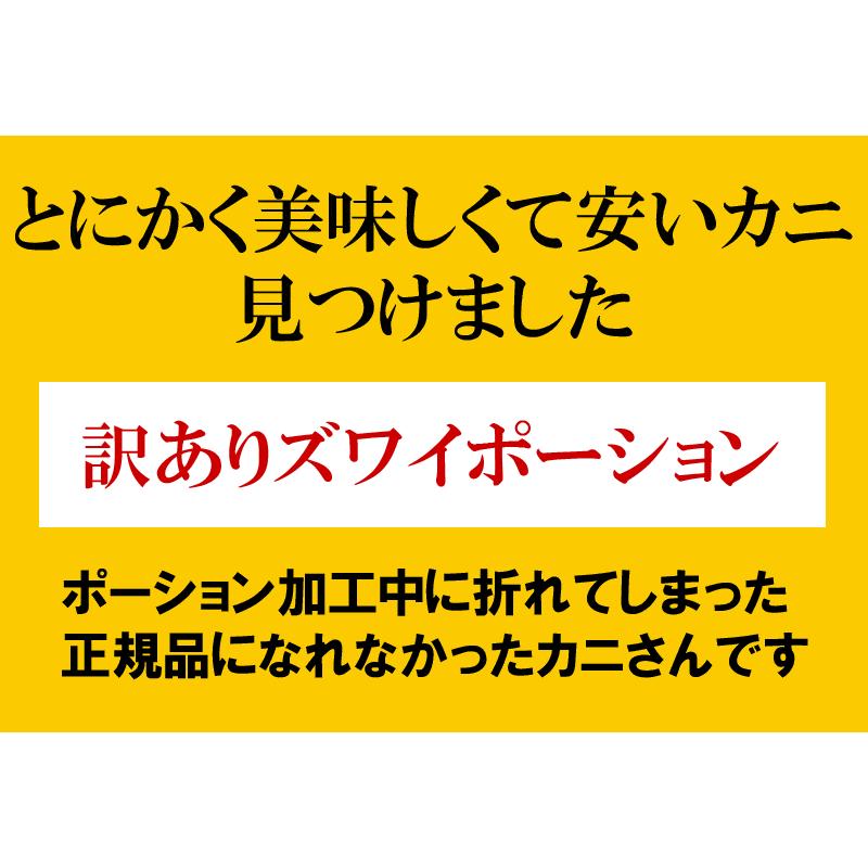 ギフト カニ ポーション 刺身 ズワイガニ 訳あり かに 蟹 生食OK ズワイガニ 約1kg 《約500g(正味400g)×2袋》入（折れポーション）