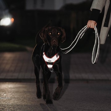 HUNTER 恆特 探索防震系列 反光多功能狗狗牽繩 (共2色)