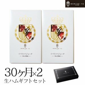 イベリコ豚 生ハム ベジョータ 30ヶ月熟成 ギフトセット 冷蔵 おつまみ 珍味 食品 食べ物 おしゃれ お祝い プレゼント お歳暮 イベリコ屋