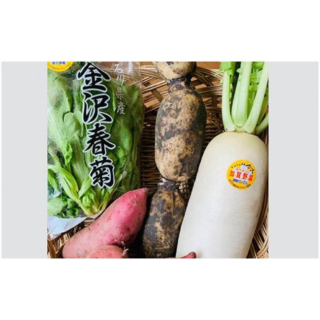 ふるさと納税 石川県 人気の加賀野菜　贅沢詰め合わせ（秋冬）