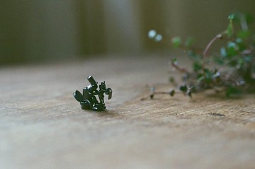 【擺飾】浴室裡的貓咪 青銅小人 貓咪禮物 獨一無二