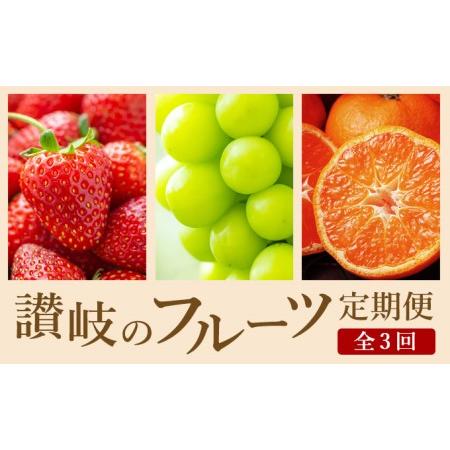 ふるさと納税 讃岐の フルーツ 年3回 定期便 香川県東かがわ市