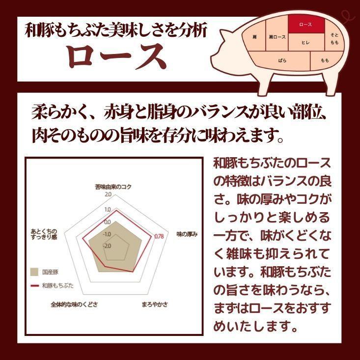 豚 ロース 味噌漬け もち 豚 ギフト 和豚もちぶた 豚肉 味噌漬け ギフト ロース 味噌漬け 5枚 送料無料 国産 ギフト プレゼント