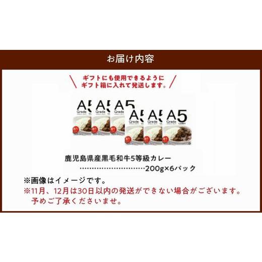 ふるさと納税 鹿児島県 南九州市 027-91 5等級黒毛和牛カレー ごろごろお肉入り200gx6個