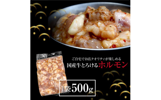 国産牛ホルモンタレ漬け500g＜高知市共通返礼品＞