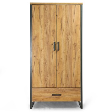 歐登雙門單抽衣櫃 收納櫃 黃金橡木色