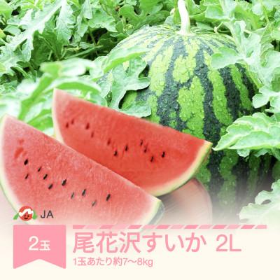 ふるさと納税 村山市 JAみちのく村山産 尾花沢すいかA品2Lサイズ(2玉入り)