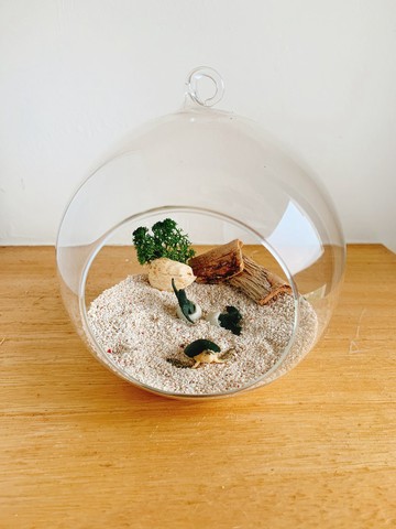 純自然 小海龜 diy組 玻璃球 海灘 海龜孵化 送禮 小物 diy ocean