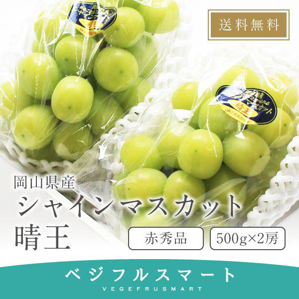 シャインマスカット 贈答用 晴王 岡山県産 赤秀品 500g×2房 大粒 送料無料