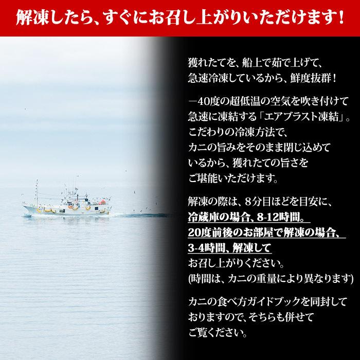 蟹 訳あり 格安 カニしゃぶ 用 ズワイガニ 1.5kg カニ ポーション ズワイ蟹 刺身 海鮮 しゃぶしゃぶ用 ギフト かに 足