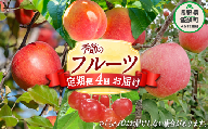 季節のフルーツ 定期便 サブスク 合計 4回 Aコース 配送先は本州限定 2023年6月下旬頃から2023年12月下旬頃まで順次発送予定 桃 りんご ふるさと振興公社 長野県 飯綱町 [0298]