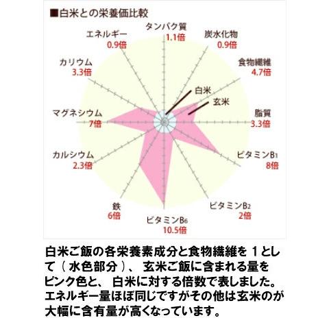 熊本産古代米もち麦Ｗブレンド500ｇ　古代米ともち麦ブレンド　雑穀米　無・減農薬栽培　完全無添加　　残留農薬ゼロ　もち麦　熊本県産　国産