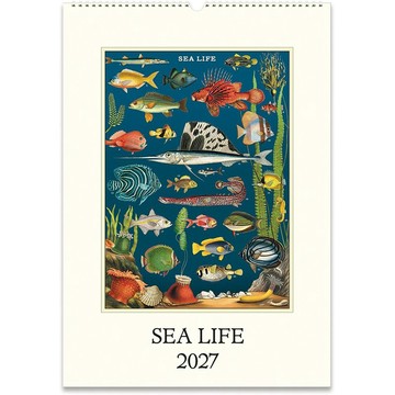Cavallini & Co.  2027 年曆/掛曆_Sea Life_CAL27-32