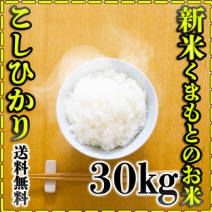 お米 米 30kg 白米 送料無料 熊本県産 こしひかり あす着 新米 令和5年産 コシヒカリ 5kg6個 くまもとのお米 富田商店 とみた商店