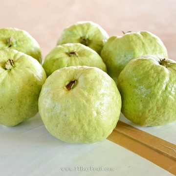 【一起買水果】(常溫預購)南投有機珍珠芭樂4.8公斤/箱 (約8台斤)  ※7個工作日內出貨