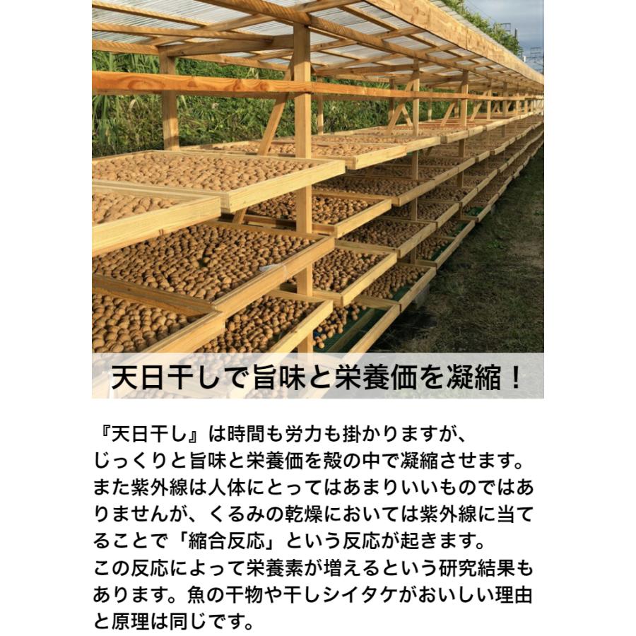 国産くるみ 剥きタイプ ※ピース(かけら状) 生産者直売 国産 日本産 長野県産 むき クルミ