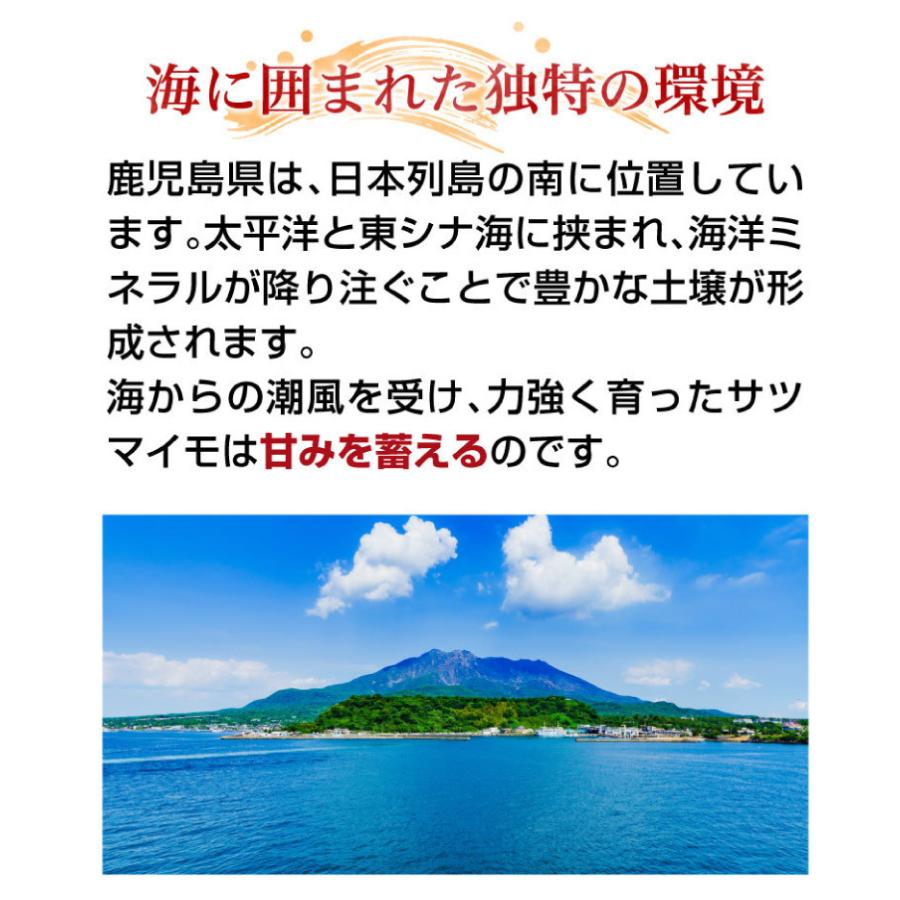 さつまいも 紅はるか A品 生芋M Lサイズ混合 130g〜300ｇ土つき 鹿児島 産地直送 3kg×1箱 送料無料 S常