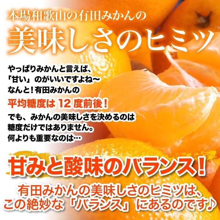 訳あり みかん 10キロ ちょっと訳あり 有田みかん 蜜柑 自宅用 訳アリ 送料無料 ミカン 10kg 箱買い 産地直送 安い 糖度 家庭用 甘い おいしい 和歌山みかん