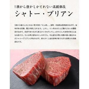 ふるさと納税 熊野牛A4以上ヒレシャトーブリアンステーキ200g(100g×2枚)＆霜降りローススライス200g 和歌山県那智勝浦町