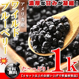 栄養満点★ワイルドブルーベリー お徳用 1kg（500g×2個）［アメリカ産］送料無料 ブルーベリー