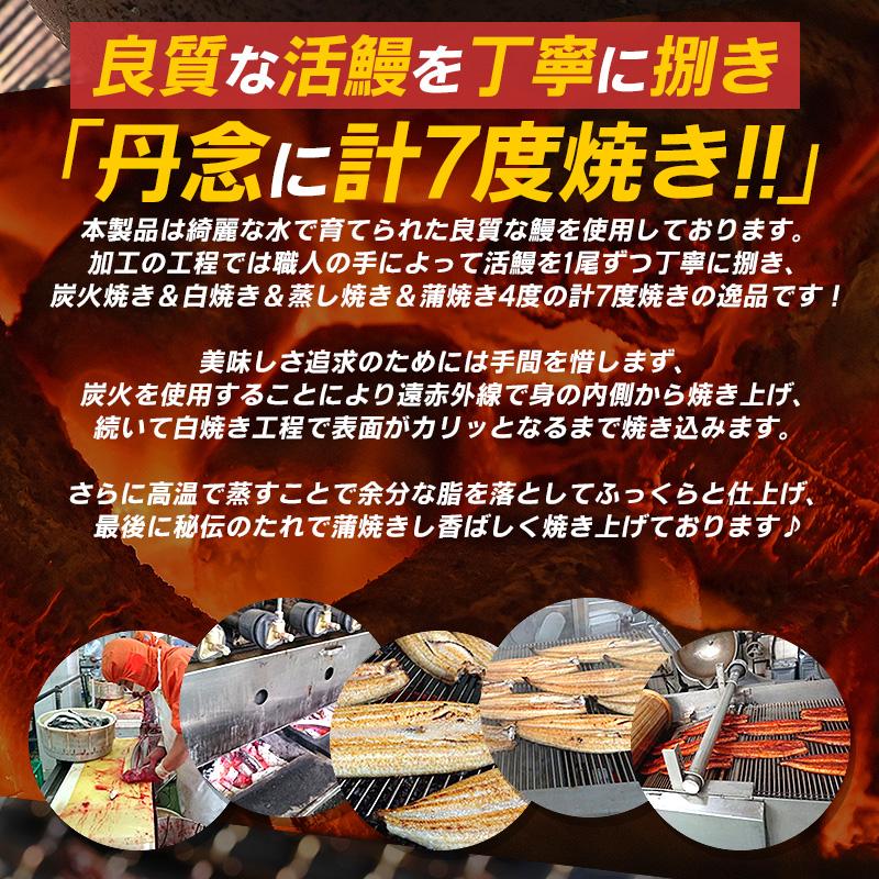 うなぎ 鰻 訳あり 端材 500g 中国産 蒲焼き きざみ鰻 きざみ カット 刻み 業務用