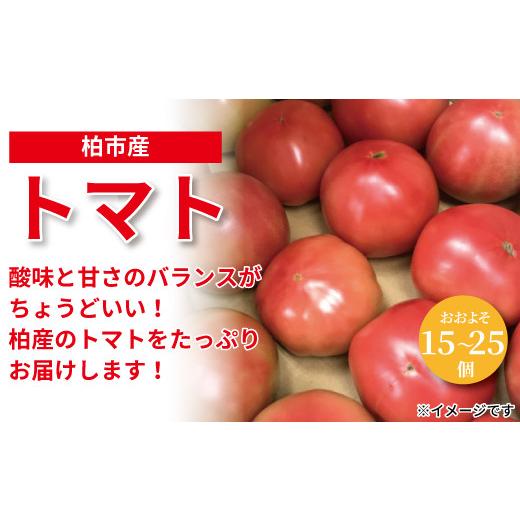 ふるさと納税 千葉県 柏市 柏市場直送トマト　4.5kgセット