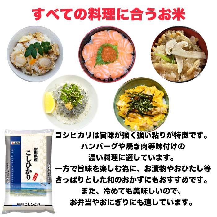 こしひかり 10kg 5kg×2 令和4年産 新潟県産 米 お米 白米 おこめ 精米 単一原料米 ブランド米 10キロ 送料無料 国内産 国産