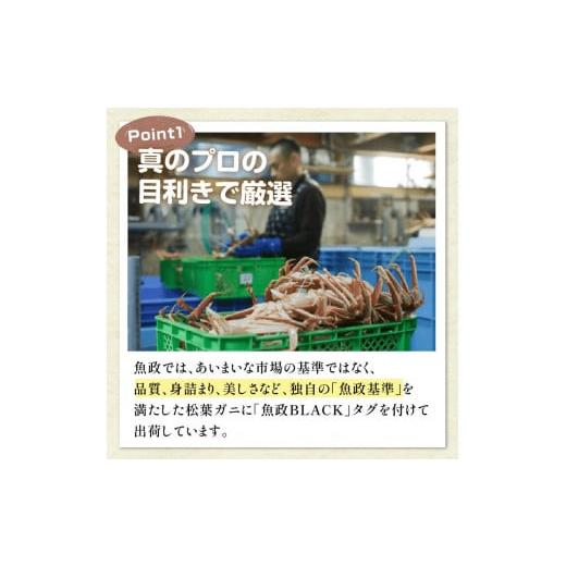 ふるさと納税 京都府 京丹後市 茹で松葉ガニ　魚政BLACK　特選　1000g級　1匹(2024年1月〜発送)