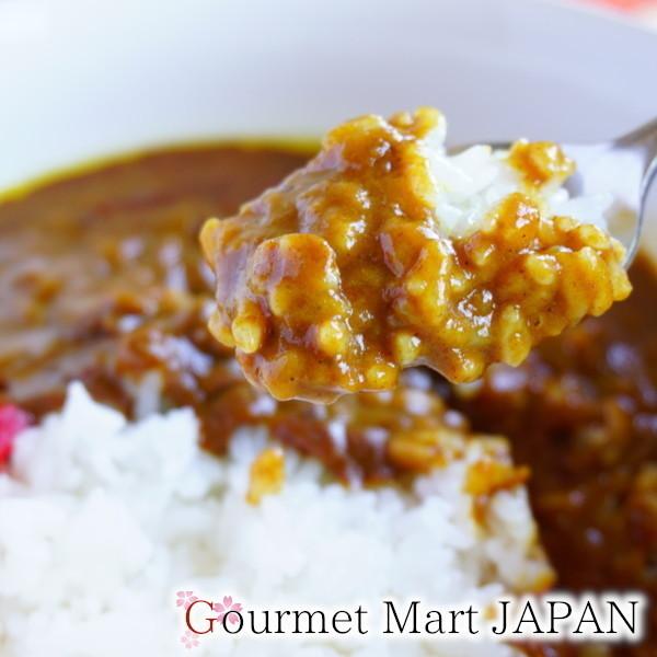 鳥取和牛 牛すじカレー 250g×8箱セット レトルトカレー お取り寄せ グルメ お歳暮 年末年始 お正月