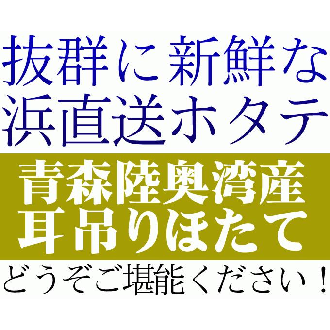 ほたて 活貝 送料無料 青森陸奥湾 鮮度が命の漁師直送便！  [※冷蔵便][※産地直送のため同梱不可]