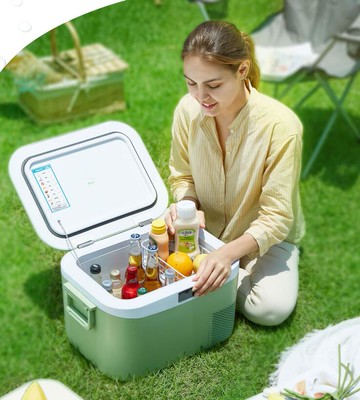 冰記車載冰箱12.8L壓縮機冷藏冷凍車家兩用宿舍迷妳便攜單門儲奶110V 小山好物嚴選