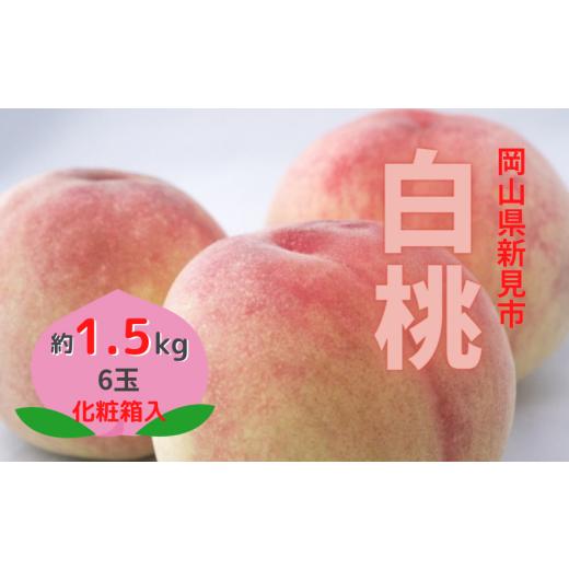 ふるさと納税 岡山県 新見市 新見の白桃 約1.5kg 6玉 