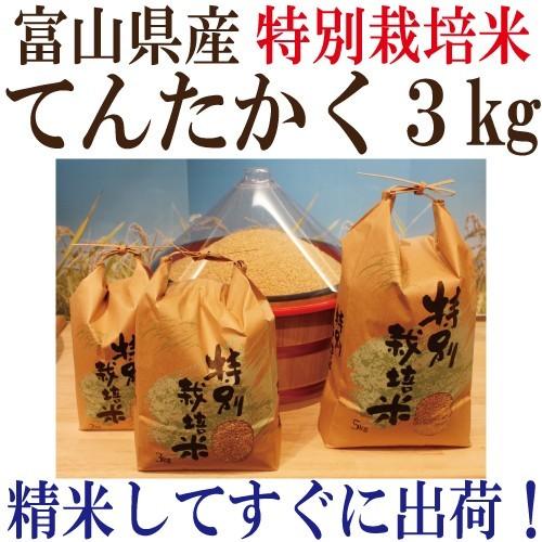 新米 令和５年度産　富山県産 特別栽培米てんたかく 玄米３ｋｇ