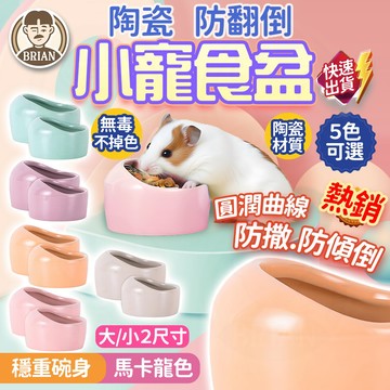 陶瓷防翻倒小寵食盆【布萊恩👨🏻隔日到貨】倉鼠食盆 小寵食盆 倉鼠飼料碗 倉鼠陶瓷碗 陶瓷碗 飼料碗 倉鼠碗 防飛濺食盆