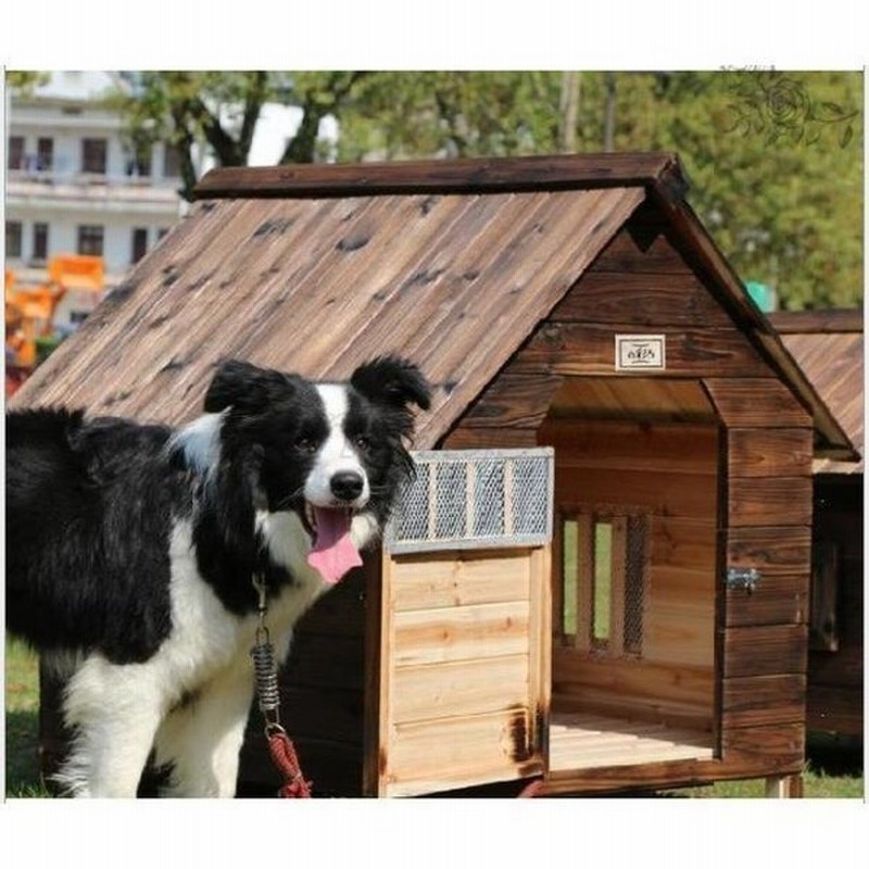 品質保証 外飼い屋外ハウス 天然木製 犬小屋 ペットハウス ドッグ 犬舎 三角屋根 脚付き 小型犬 中型犬 高床式設計 通販 Lineポイント最大get Lineショッピング