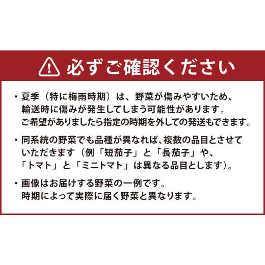 ふるさと納税 長崎県 時津町 野菜のプロ40年が届ける こだわり野菜セット！ 7〜8品目 詰め合わせ