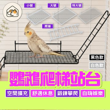 《家有毛孩🐾》鸚鵡爬梯站台 不鏽鋼站架 掛籠爬梯 不鏽鋼爬梯 鸚鵡站台跳架 休息平臺 攀爬平台 鸚鵡休息臺 籠內配件