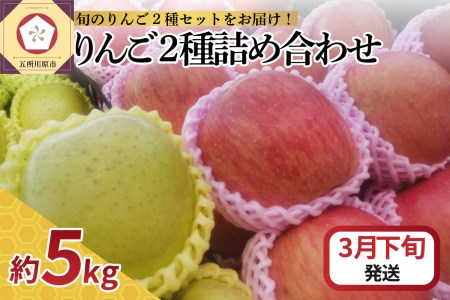  りんご 5kg サンふじ 王林 他 紅白 詰め合わせ 青森