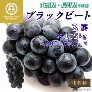 [最短順次発送]   ブラックビート ぶどう 3房 約1.5kg 約500g ×3 山梨県 長野県 化粧 の味覚 葡萄  大粒 フルーツ 秋ギフト  果実ギフト