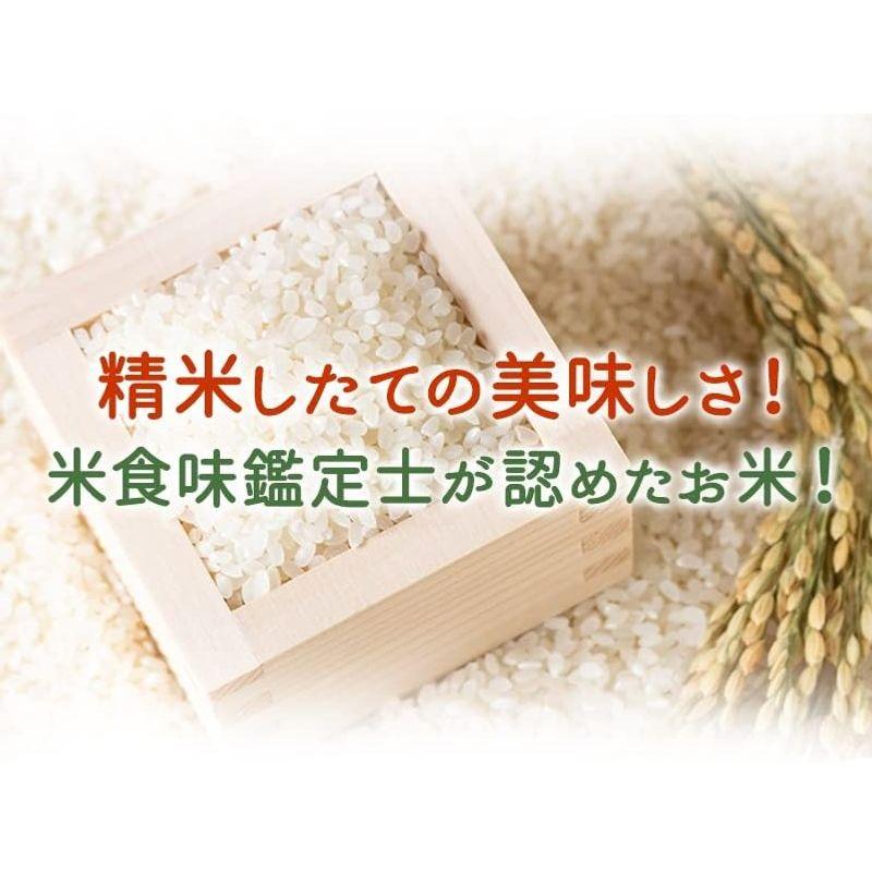 5分づき コシヒカリ 5kg 令和4年福井県大野産 米食味鑑定士鑑定済