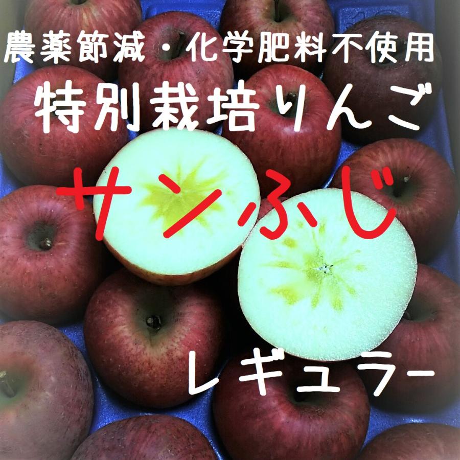 サンふじレギュラー中玉16〜18個入5kg箱12月以降発送