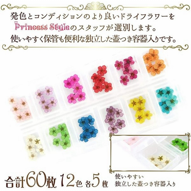 ドライフラワー 上質 押し花 こでまり 60枚 ネイル パーツ レジン 封入 新ケース入 12色 各5枚 通販 Lineポイント最大get Lineショッピング