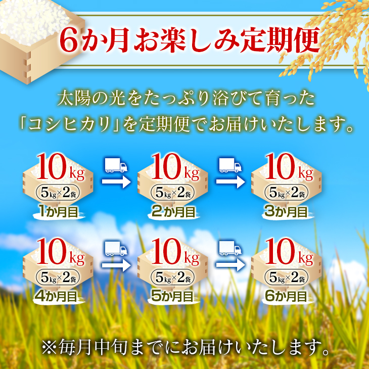 L7-22 ≪無洗米≫新米コシヒカリ計60kg　米　お米　ご飯　国産