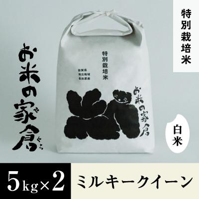 ふるさと納税 長浜市 滋賀県長浜市　お米が甘い!特別栽培”ミルキークイーン”　5K×2　白米