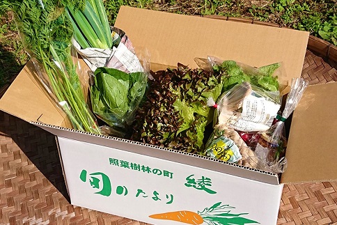 こだわり農家の野菜＆ジャムセット　無農薬　無化学肥料栽培（05-11）